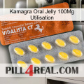 Kamagra Oral Jelly 100Mg Use 42